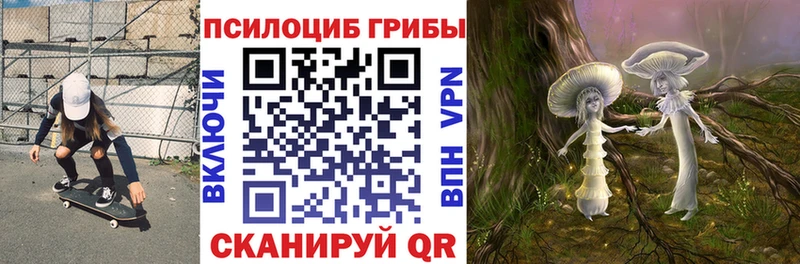 Псилоцибиновые грибы мицелий  дарнет шоп  Юрьевец 